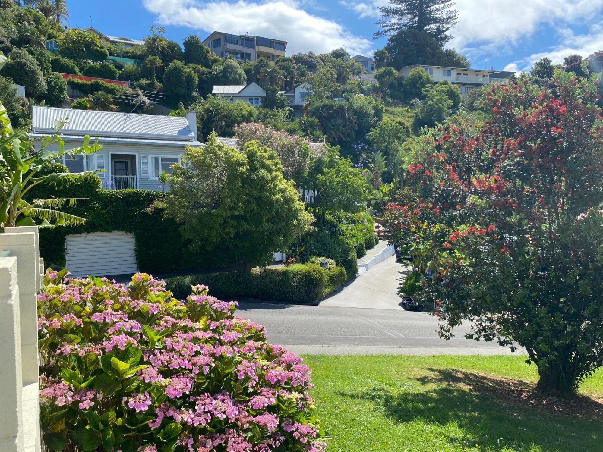 Maison Blue - Chic Garden Apartment Napier Exterior foto